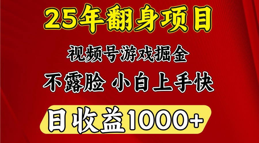 一天收益1000+ 25年开年落地好项目-墨痕微课