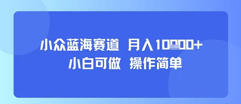 小众蓝海赛道,小白可做,操作简单,每天30分钟,月入1W+-墨痕微课