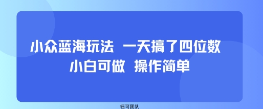 小众蓝海玩法 一天搞了四位数 小白可做 操作简单-墨痕微课