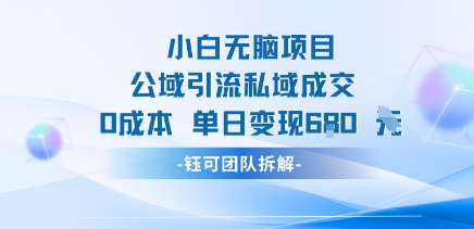 小白无脑项目公域引流私域成交0成本单日变现680米-墨痕微课