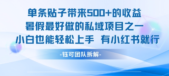 单条贴子带来5张的收益,暑假最好做的私域项目之一,小白也能轻松上手,有小红书就行-墨痕微课