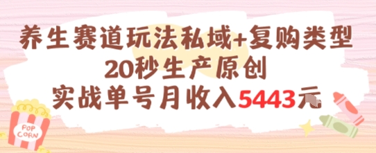 养生赛道玩法私域+复购类型,20秒生产原创实战单号月收入5k+-墨痕微课
