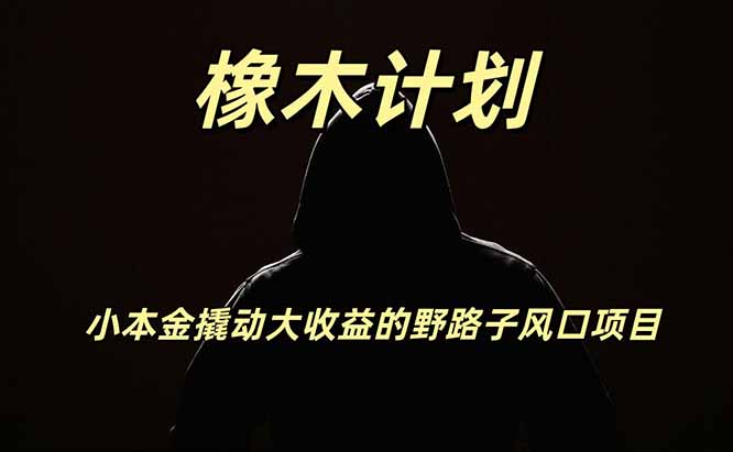 橡木计划，小投入撬动高回报的风口野路子项目，一天投入2小时左右-墨痕微课