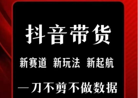 抖音短视频一刀不剪带货,不剪辑,不直播,每天发个视频,等着出单获取带货佣金-墨痕微课