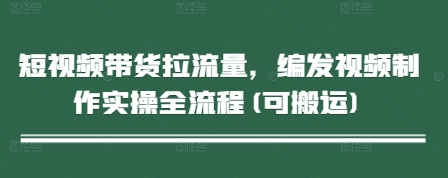 短视频带货拉流量,编发视频制作实操全流程(可搬运)-墨痕微课