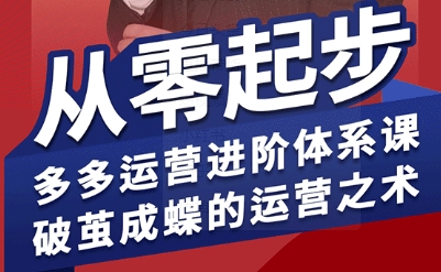 拼多多运营进阶系统课,从零起步,多多运营进阶体系课,破茧成蝶的运营之术-墨痕微课