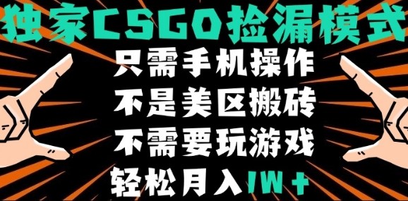 CSGO自动捡漏项目,最新独家玩法,不是美区搬砖,不需要了解和玩游戏,新手小白轻松月入1W+【揭秘】-墨痕微课