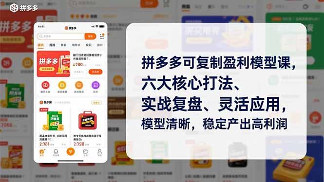 拼多多可复制盈利模型课，六大核心打法、实战复盘、灵活应用，模型清晰，稳定产出高利润-墨痕微课