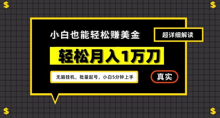 谷歌看广告撸美金2.0,无脑挂机,多号操作,月入1万刀【揭秘】-墨痕微课