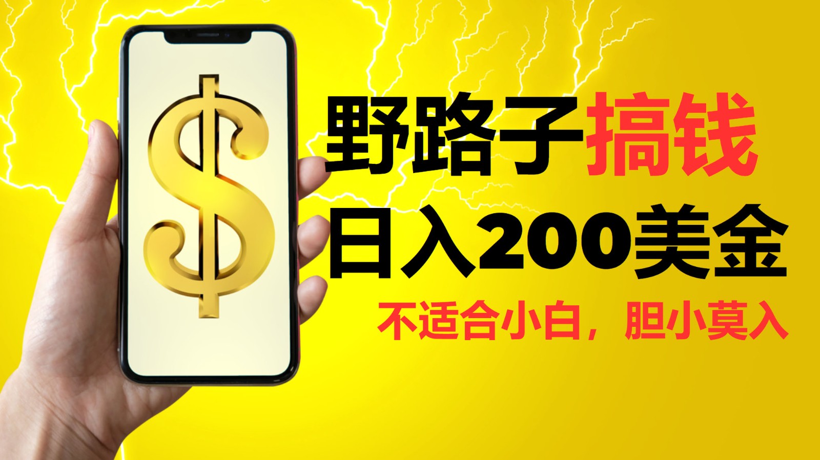 挂机野路子搞钱,日入200美金,路子很野,小白莫入-墨痕微课