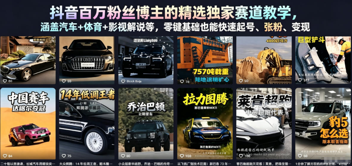 抖音百万粉丝博主的精选独家赛道教学,涵盖汽车+体育+影视解说等,零基础也能快速起号、涨粉、变现-墨痕微课