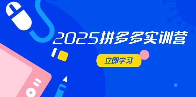 2025拼多多实训营：深度剖析运营关键，助力电商人快速提升-墨痕微课