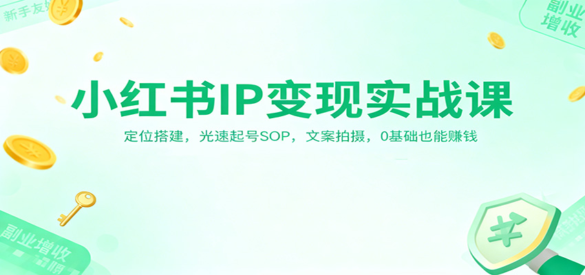 小红书IP变现实战课：定位搭建，光速起号SOP，文案拍摄，0基础也能赚钱-墨痕微课