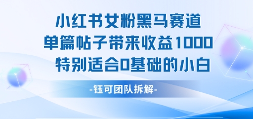 小红书女粉黑马赛道单篇帖子带来收益1k+，特别适合0基础的小白-墨痕微课
