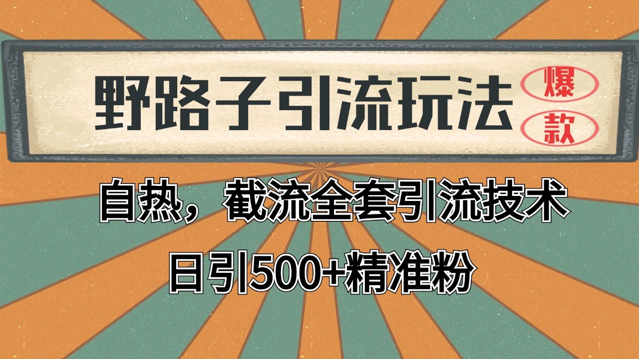2024首发野路子引流玩法截流自热全平台打法,全自动引流【日引2000+精准客户】-墨痕微课