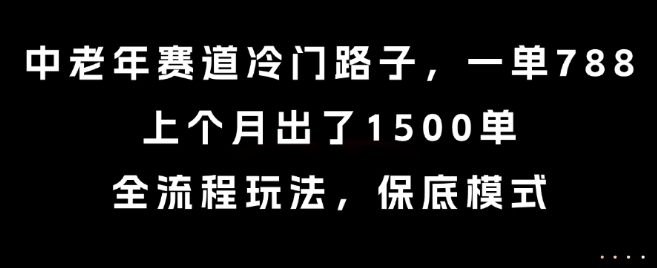 中老年赛道冷门路子，一单788，上个月出了1500单，全流程玩法，保底模式【揭秘】-墨痕微课