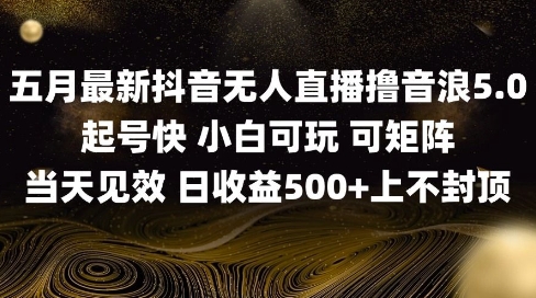 2025五月最新无人直播撸音浪单日产出5张+实操教程【揭秘】-墨痕微课