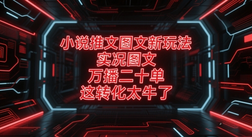 小说推文图文新玩法，实况图文，万播二十单，这转化太牛了！-墨痕微课