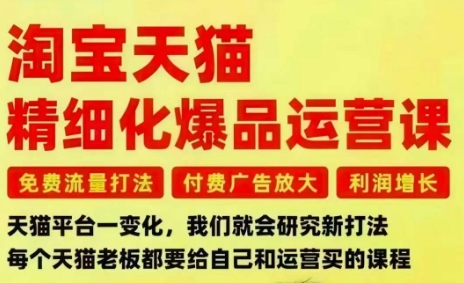 淘宝天猫精细化爆品运营课，免费流量打法-付费广告放大-利润增长-三大核心痛点，一次全部解决-墨痕微课