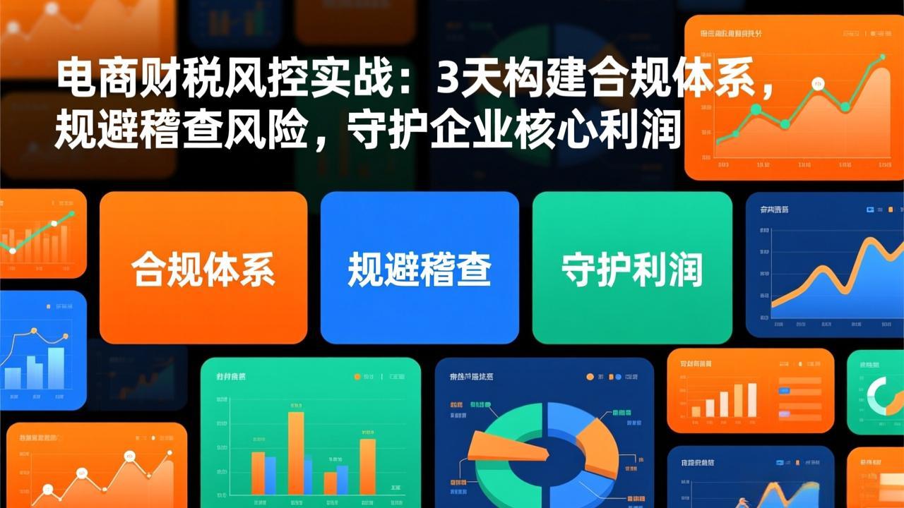 电商财税风控实战:3天构建合规体系,规避稽查风险,守护企业核心利润-墨痕微课