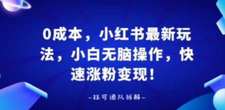 0成本,小红书最新玩法,小白无脑操作,快速涨粉变现-墨痕微课