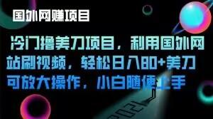 冷门撸美刀项目,利用国外网站刷视频,轻松日入80+美刀,可放大操作,小白随便上手-墨痕微课