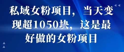 私域女粉项目,当天变现超1k,这是最好做的女粉项目,可放大操作-墨痕微课