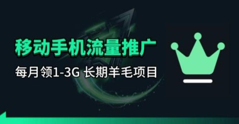 手机流量领取推广_每月一轮，刚需类的长期项目-墨痕微课