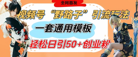 视频号“野路子”玩法,评论区疯狂截流,一套模板单日单号引流50+创业粉-墨痕微课