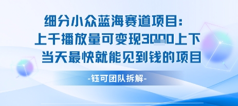 小众蓝海赛道项目：当天变现1k+适合新手操作 +适合长期玩-墨痕微课