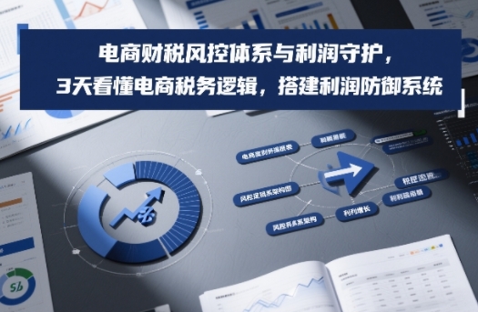 电商财税风控体系与利润守护，3天看懂电商税务逻辑，搭建利润防御系统-墨痕微课