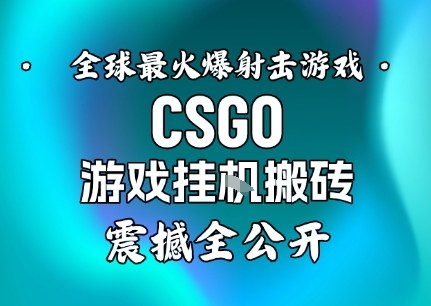 【年底大揭秘】基于全球最火爆的射击CSGO游戏挂G搬砖，日入5张+，震撼公开-墨痕微课