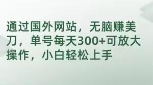 通过国外网站,无脑赚美刀,单号每天300+可放大操作,小白轻松上手【揭秘】-墨痕微课