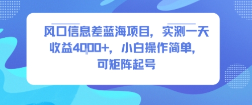 风口信息差蓝海项目，实测一天收益4k+，小白操作简单，可矩阵起号-墨痕微课