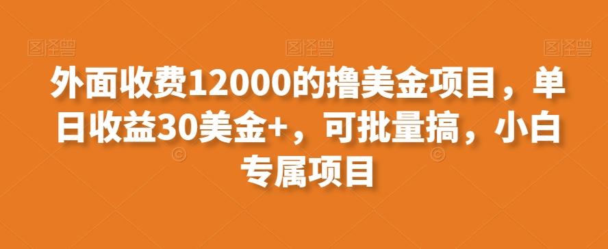 外面收费12000的撸美金项目,单日收益30美金+,可批量搞,小白专属项目-墨痕微课