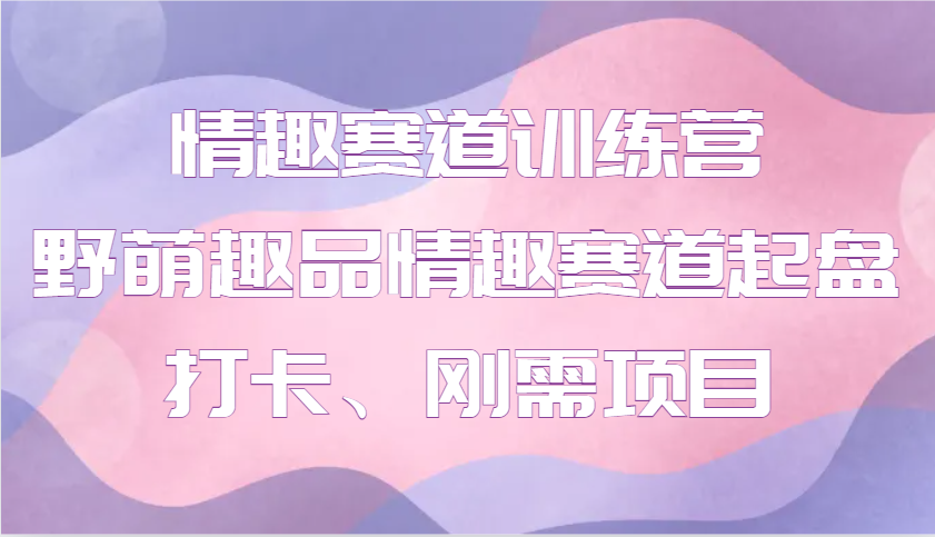 情趣赛道训练营 野萌趣品情趣赛道起盘打卡、刚需项目-墨痕微课