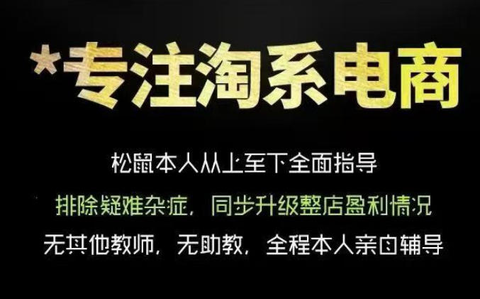 松鼠会电商VIP课程，从基础布局到高阶优化，助你掌握淘宝运营逻辑，提升店铺流量与转化(更新0703)-墨痕微课