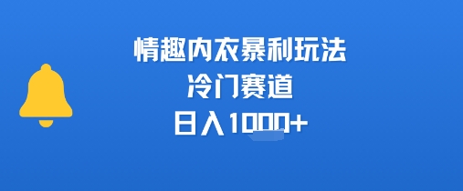 情趣内衣暴利玩法，冷门赛道，日入1k+-墨痕微课