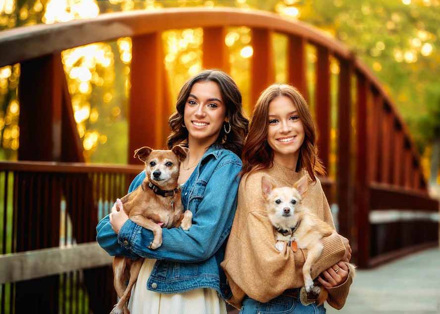 图片[2]-大师级GTG出品-老友记系列AI自适应预设The Friends Preset Collection-墨痕微课