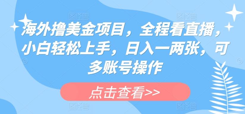 海外撸美金项目,全程看直播,小白轻松上手,日入一两张,可多账号操作【揭秘】-墨痕微课