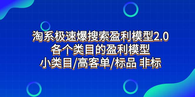 淘系极速爆搜索盈利模型2.0，各个类目的盈利模型，小类目/高客单/标品 非标-墨痕微课