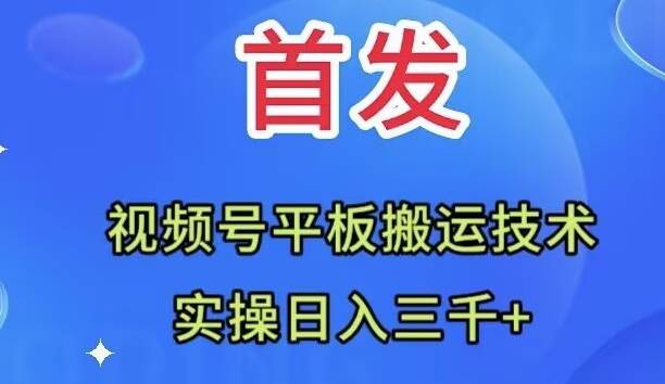 全网首发:视频号平板搬运技术,实操日入三千+-墨痕微课
