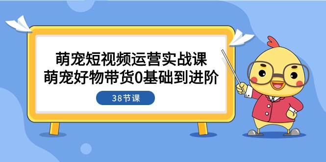 萌宠·短视频运营实战课：萌宠好物带货0基础到进阶（38节课）-墨痕微课