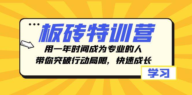 板砖特训营，用一年时间成为专业的人，带你突破行动局限，快速成长-墨痕微课