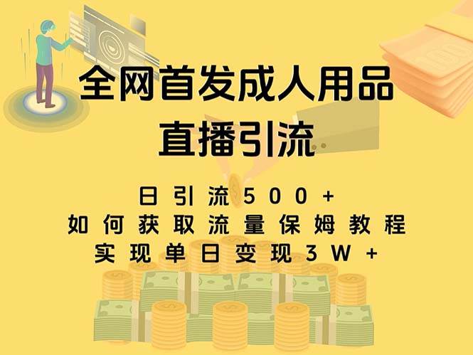 最新全网独创首发，成人用品直播引流获客暴力玩法，单日变现3w保姆级教程-墨痕微课