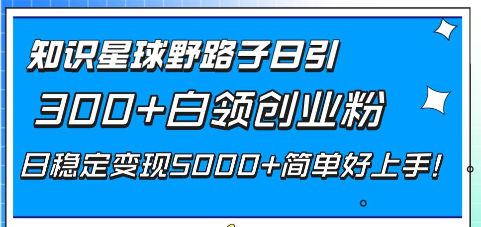 知识星球野路子日引300 白领创业粉，日稳定变现5000 简单好上手！-墨痕微课