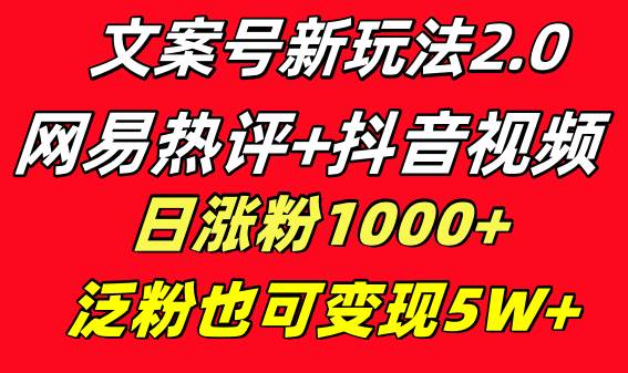 文案号新玩法 网易热评 抖音文案 一天涨粉1000  多种变现模式 泛粉也可变现-墨痕微课
