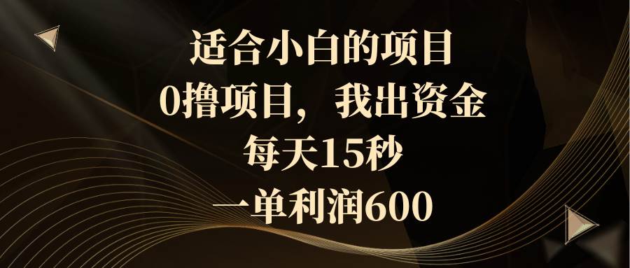 适合小白的项目，0撸项目，我出资金，每天15秒，一单利润600-墨痕微课