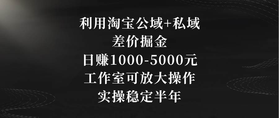 利用淘宝公域+私域差价掘金,日赚1000-5000元,工作室可放大操作,实操…-墨痕微课