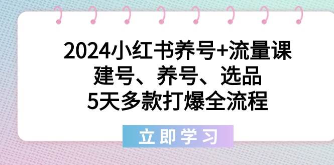2024小红书养号+流量课:建号、养号、选品,5天多款打爆全流程-墨痕微课